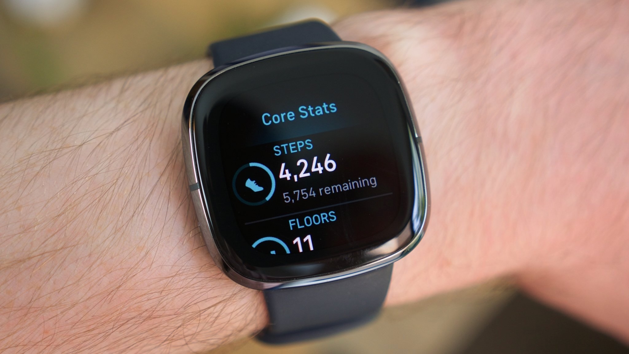Fitbit Sense stats and steps