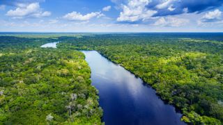 This photo shows an aerial view of the Amazon River. The blue river serpentines over the flat land, flanked either side by dense green vegetation.