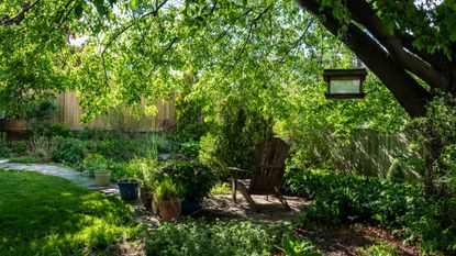 a shady garden with a mirror