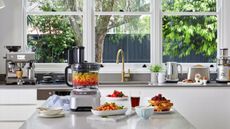 Breville Sous Chef 12 Food Processor