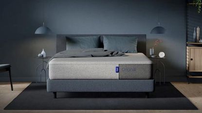 Casper Original Mattress (one of the best mattresses in the realhomes.com guide) on upholstered bed frame in navy bedroom