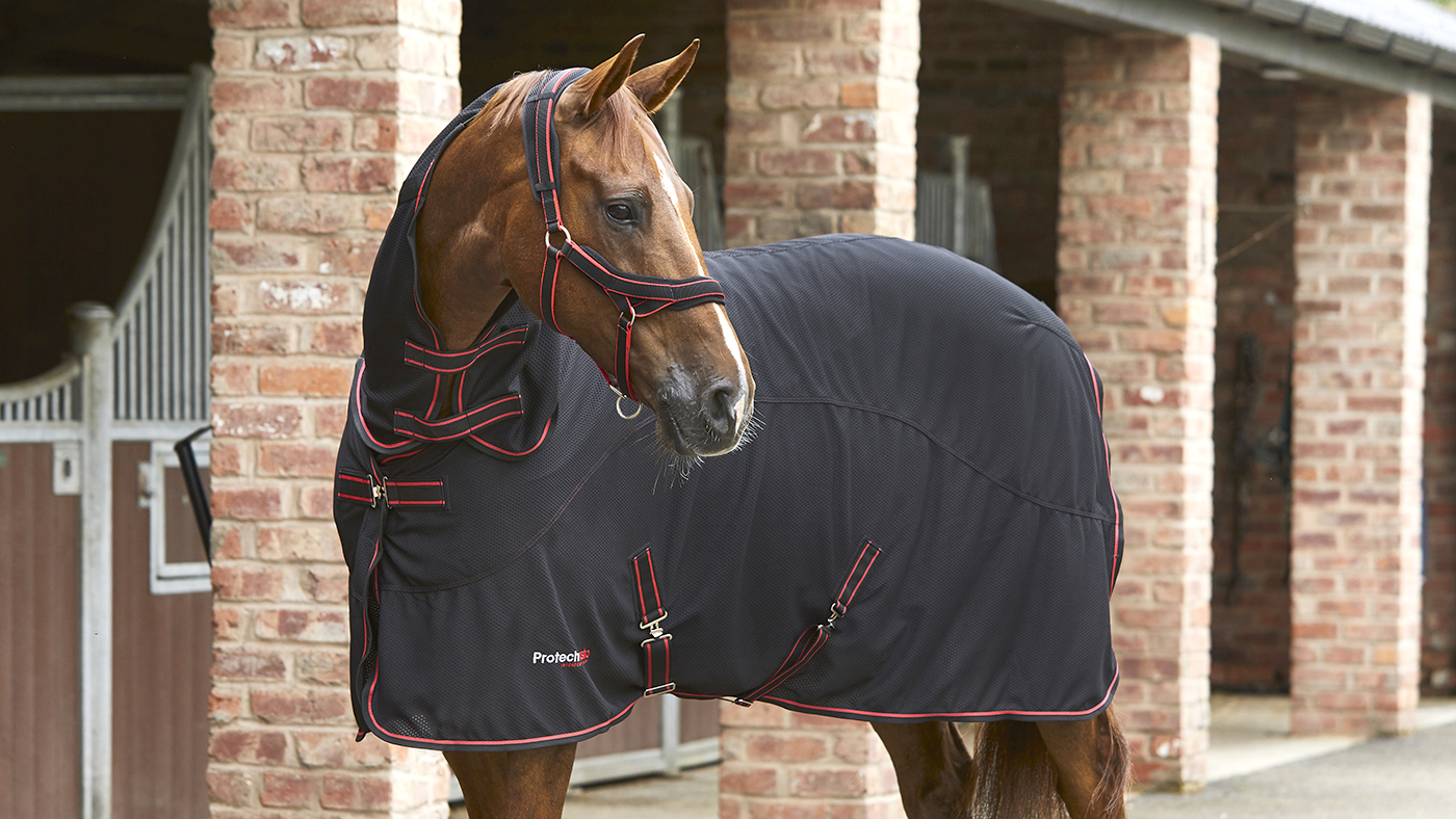 Protechmasta therapy rug