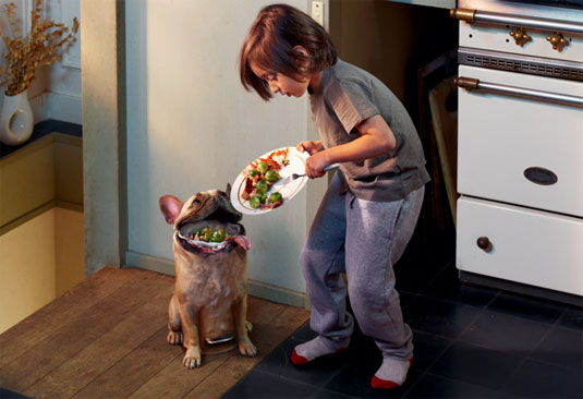 stop treating your dog like a trash can