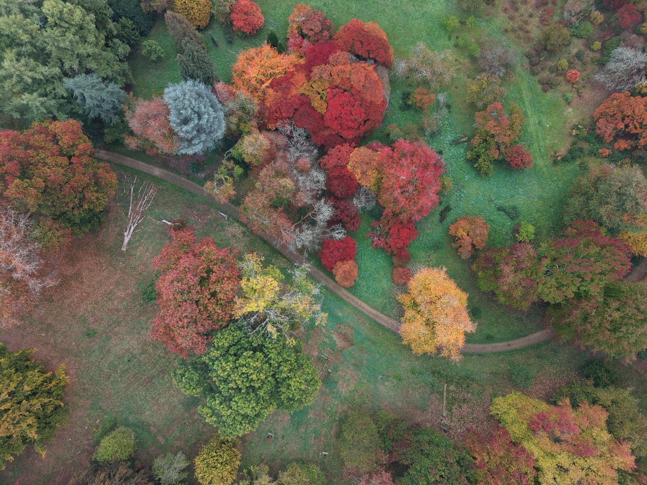 DJI Mini 5 Pro sample images: aerial view of an autumnal arboretum