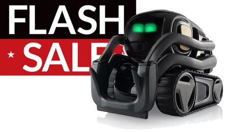 vector robot cheap