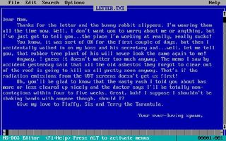 The joke is that this was a real text editor in the day. Which people used. Willingly.