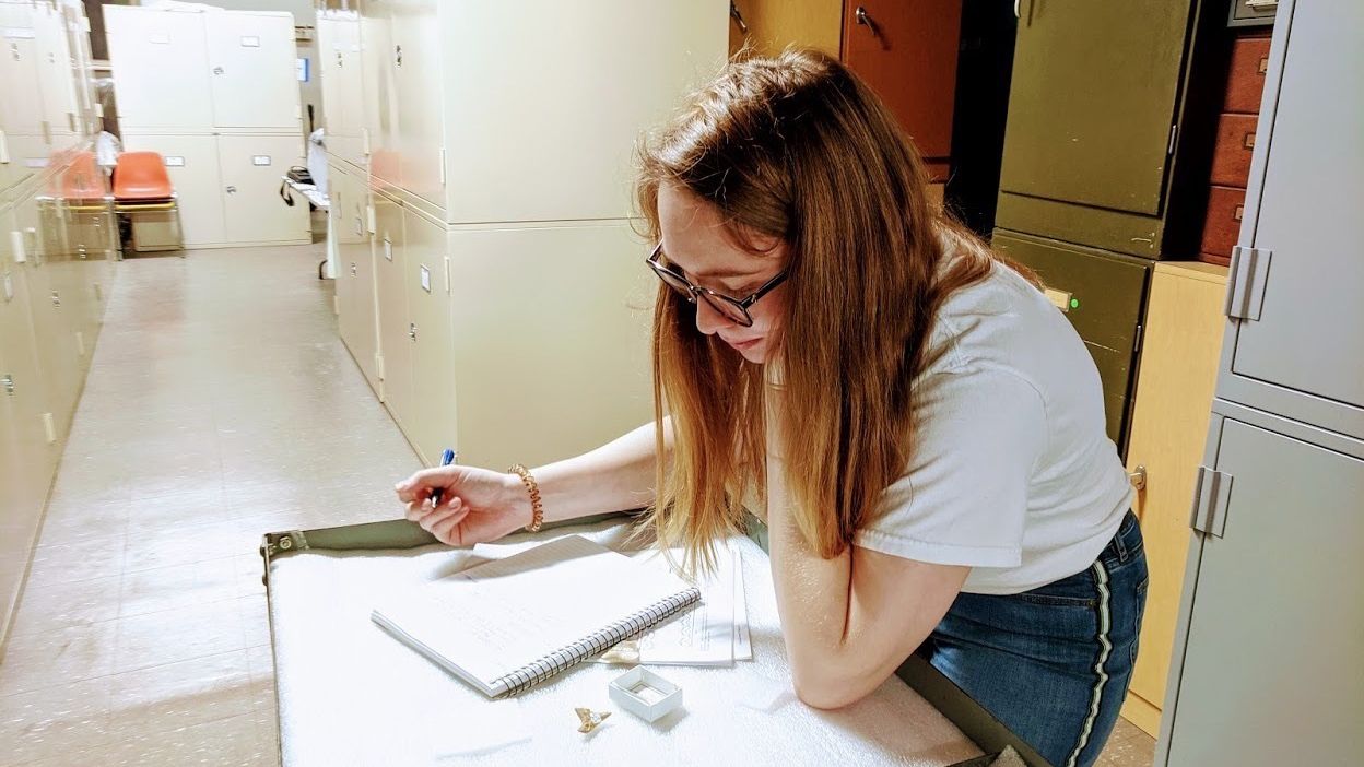 Addison Miller examines the collections of Oligocene shark teeth.