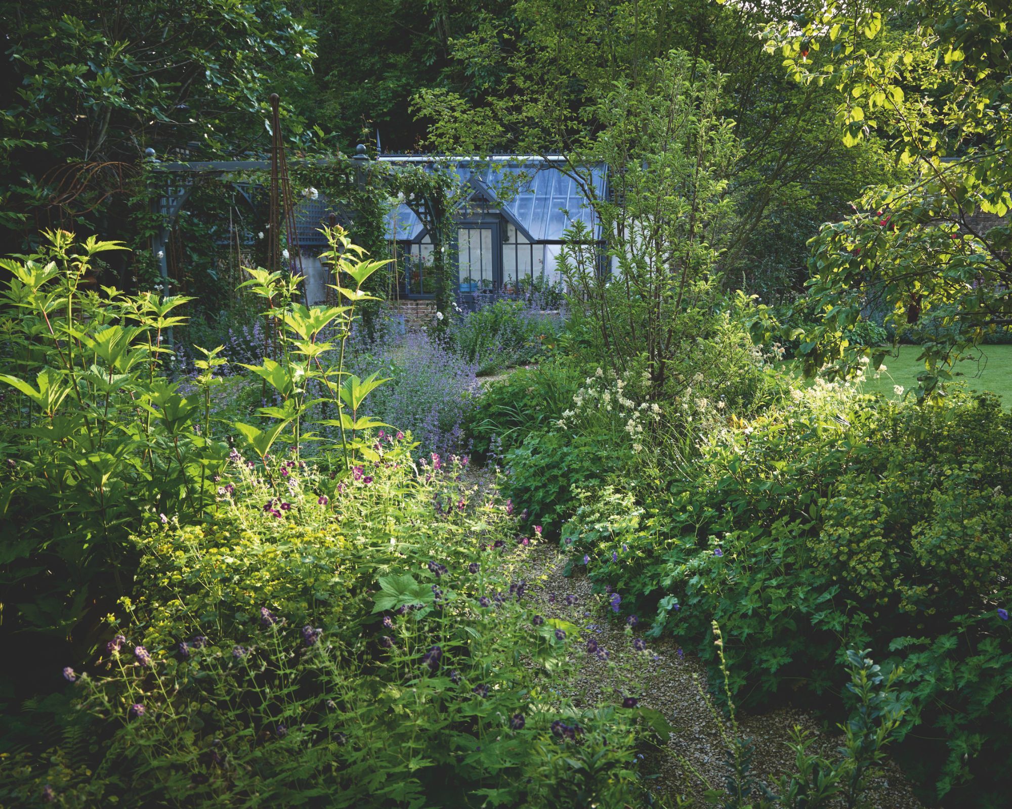 A traditional cottage garden design with spilling boarders leading to a glass greenhouse