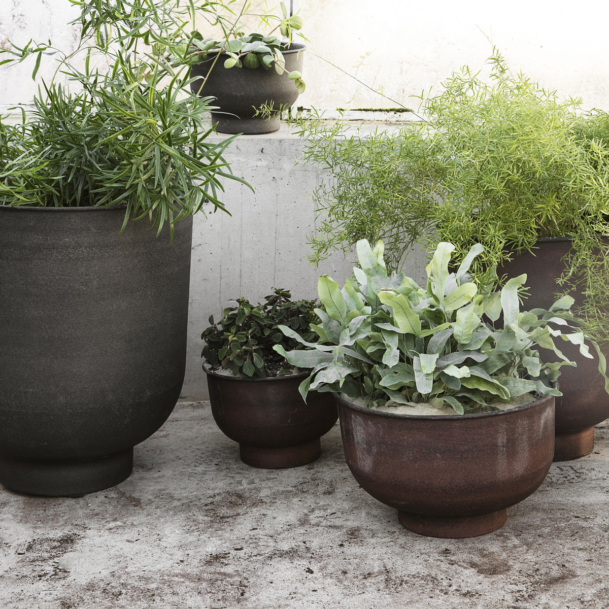 small garden: plant pots by Lagoon