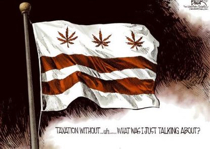 Marijuana nation