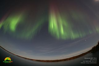 The northern lights shine over water and trees on Sept. 30, 2012, in this photo captured by an AuroraMax camera operated by the Canadian Space Agency in Yellowknife, Canada.