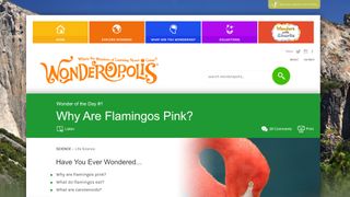 Wonderopolis