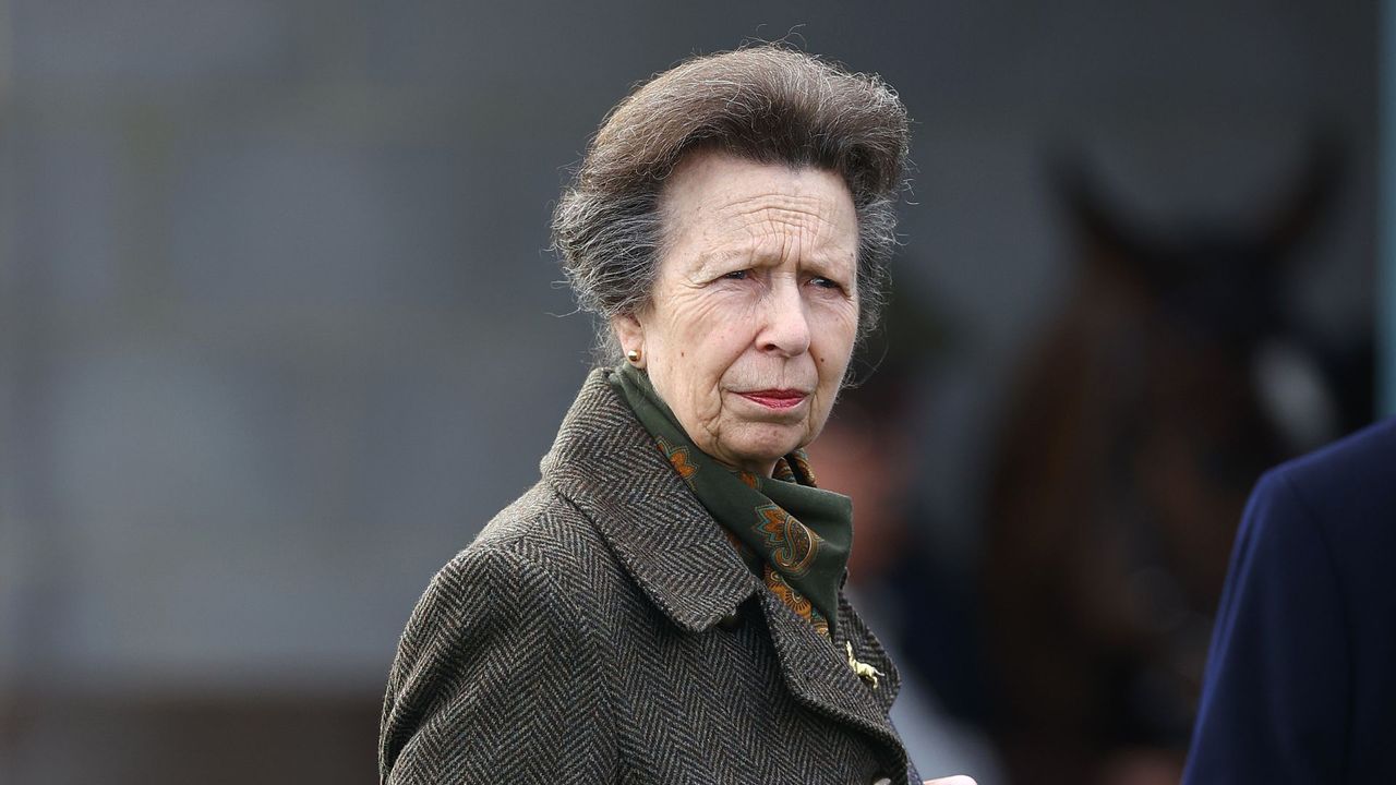 Princess Anne slams &#039;slimmed down&#039; monarchy