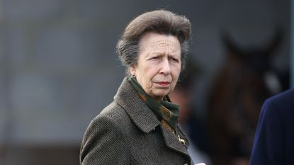 Princess Anne may struggle