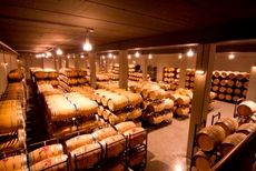 Bodegas Tobia cellars