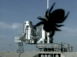 Another spider found space fame in 2007 when it crawled over a camera preparing to film the launch of the shuttle Atlantis.