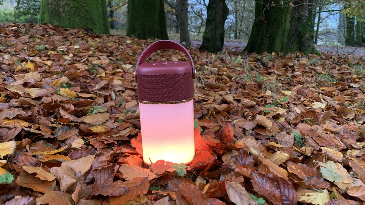 VQ Halo camping lantern among autumn leaves