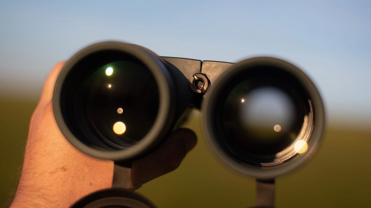 Celestron Nature DX 12x56 lenses