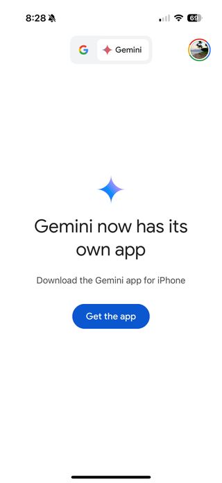 The Google app on iOS on the Gemini panel.