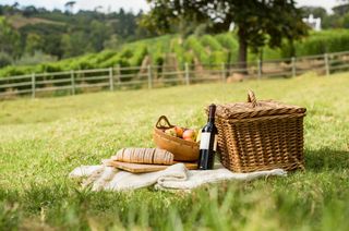 Home date ideas: a picnic