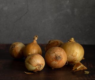 Four onions freshly harvested