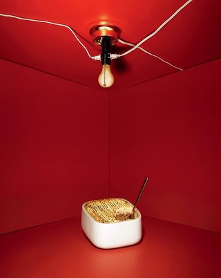 William Eggleston’s shepherd’s pie in a red box with a lamp above it