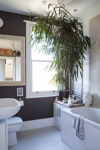 bathroom with dark and white walls and plant
