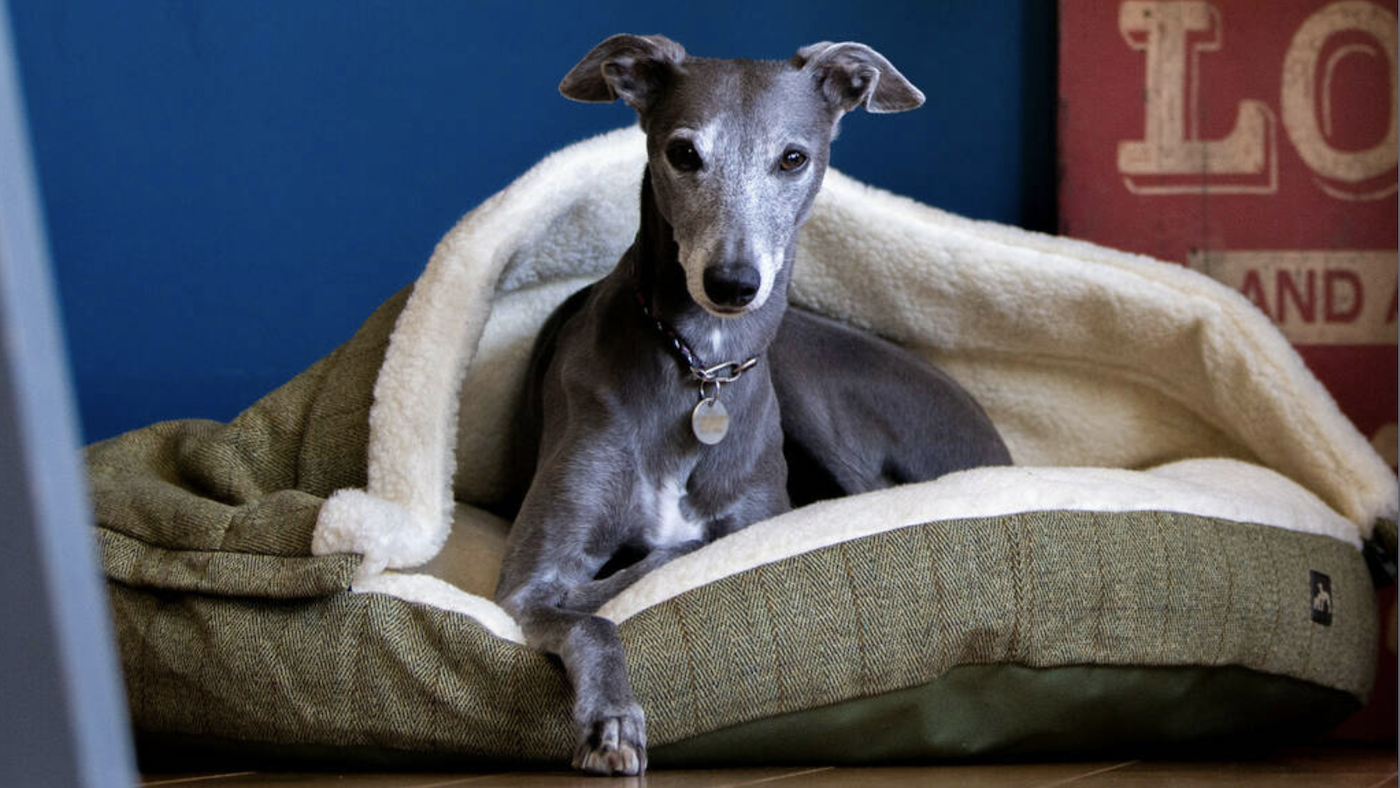 Tweed Cave Dog Bed