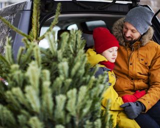 man and boy in car with christmas tree