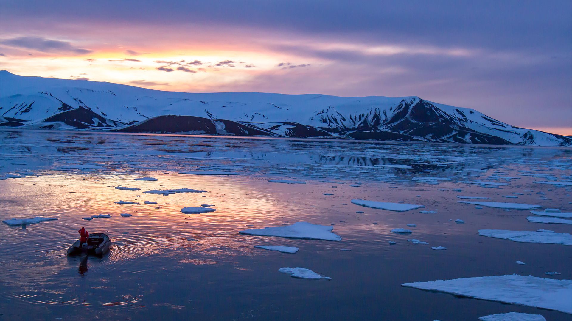 'We were in disbelief': Antarctica is behaving in a way we've never ...