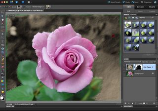 Adobe photoshop elements