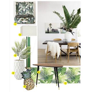 A large green leafy plant sits in a large white vase on a black coffee table in a chic dining space.