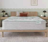 Beauty Sleep Beauty Sleep Midnight Dream 14.25" Ultra Plush Pillow Top Mattress