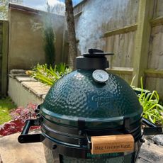 Testing of the Big Green Egg at home 