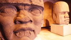 Two carved sculptures of heads as seen in a museum. 