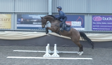 How to introduce a young horse to skinny cross-country fences