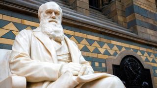 A statue of Charles Darwin sat on a chair