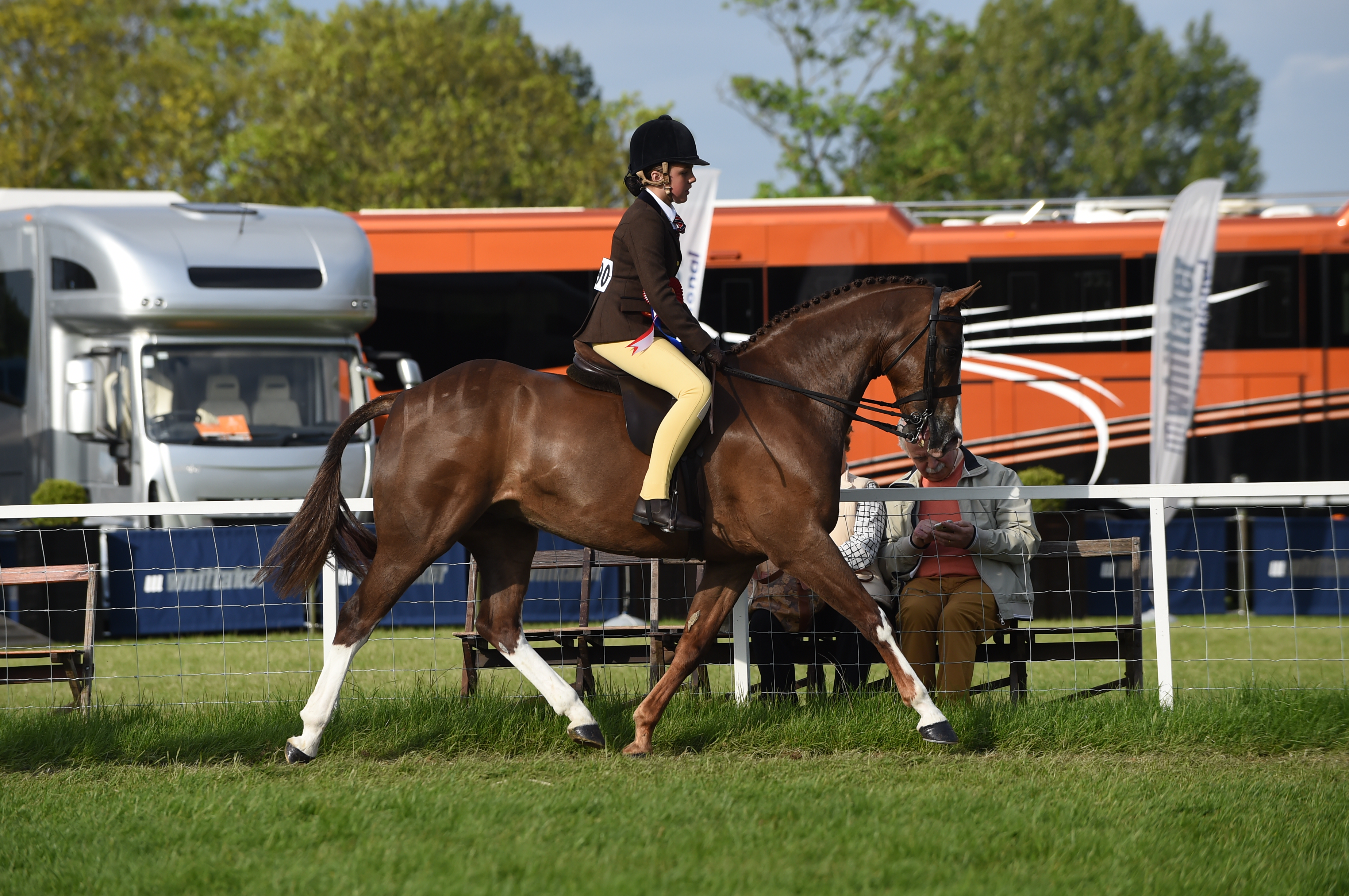 WINDSOR 2016 GALLERY Lindeth Talisman