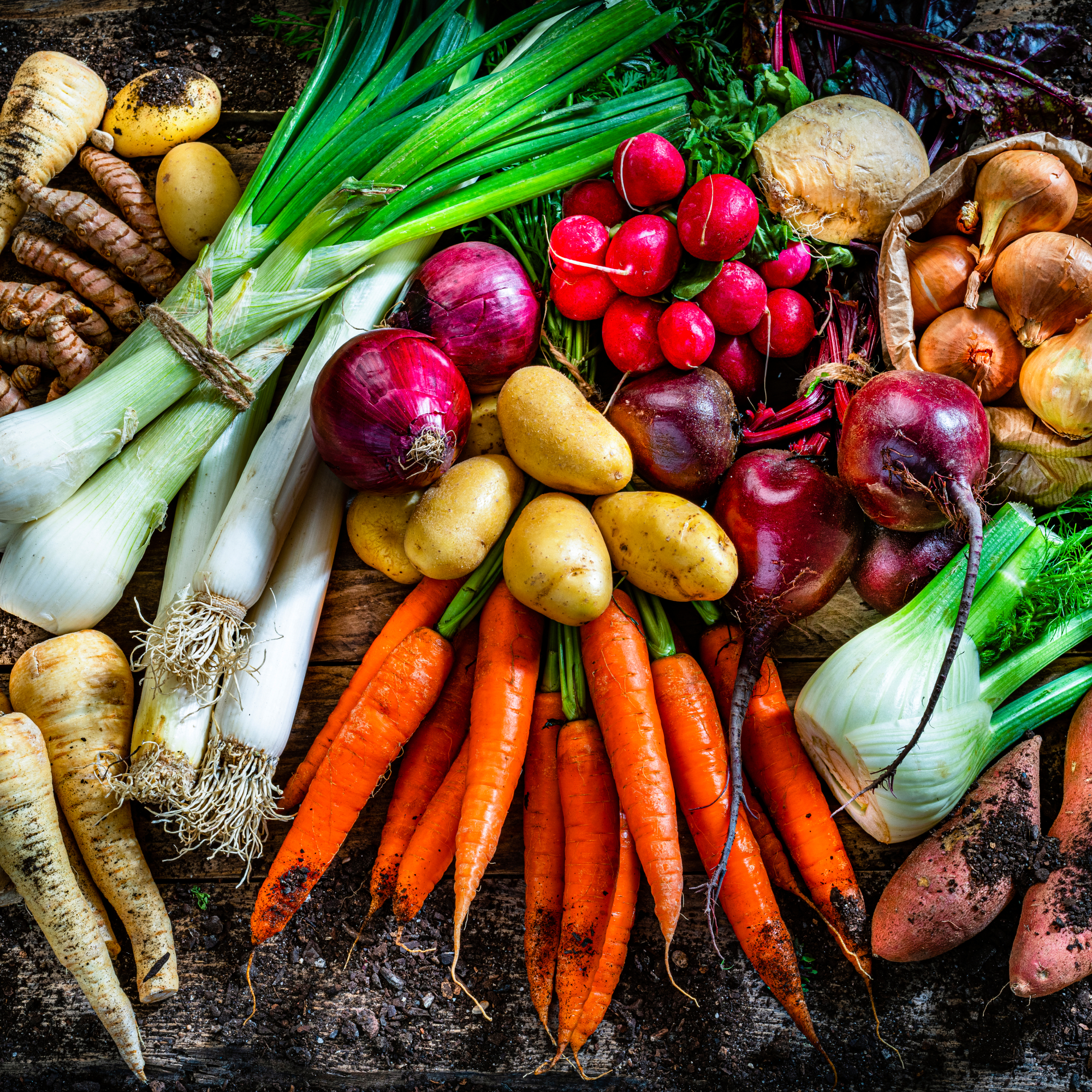 Root vegetables on a dirt background