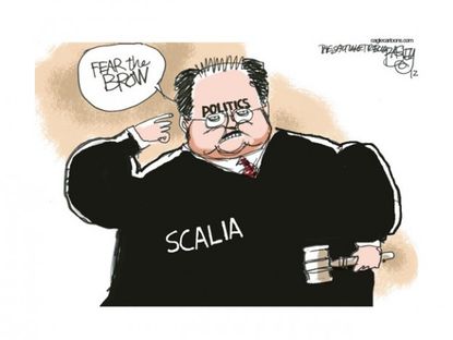 Scalia furrows