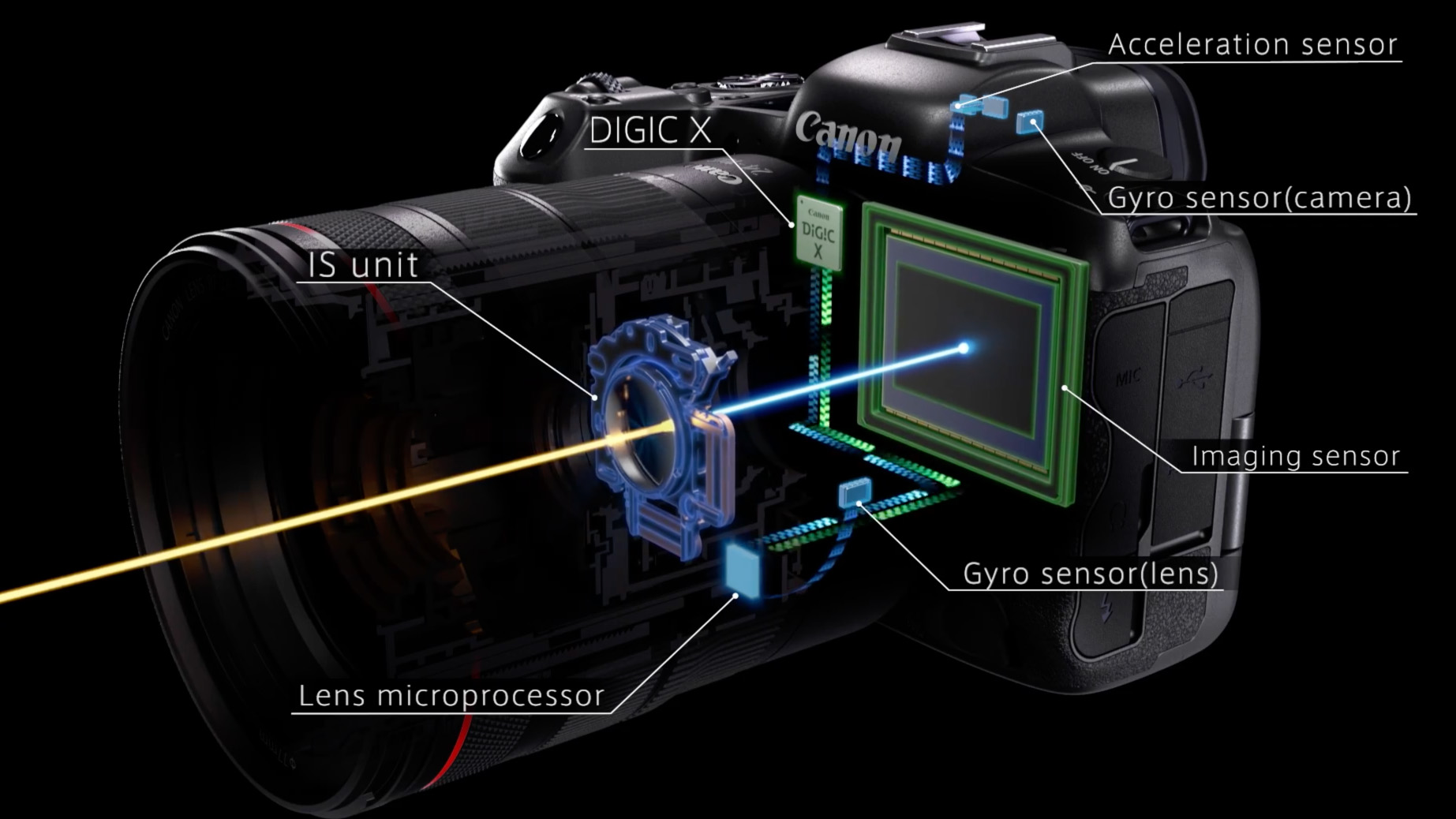 Sony A1 vs Canon EOS R5: which mirrorless camera wins the battle of the ...