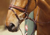 noseband-bit.jpg
