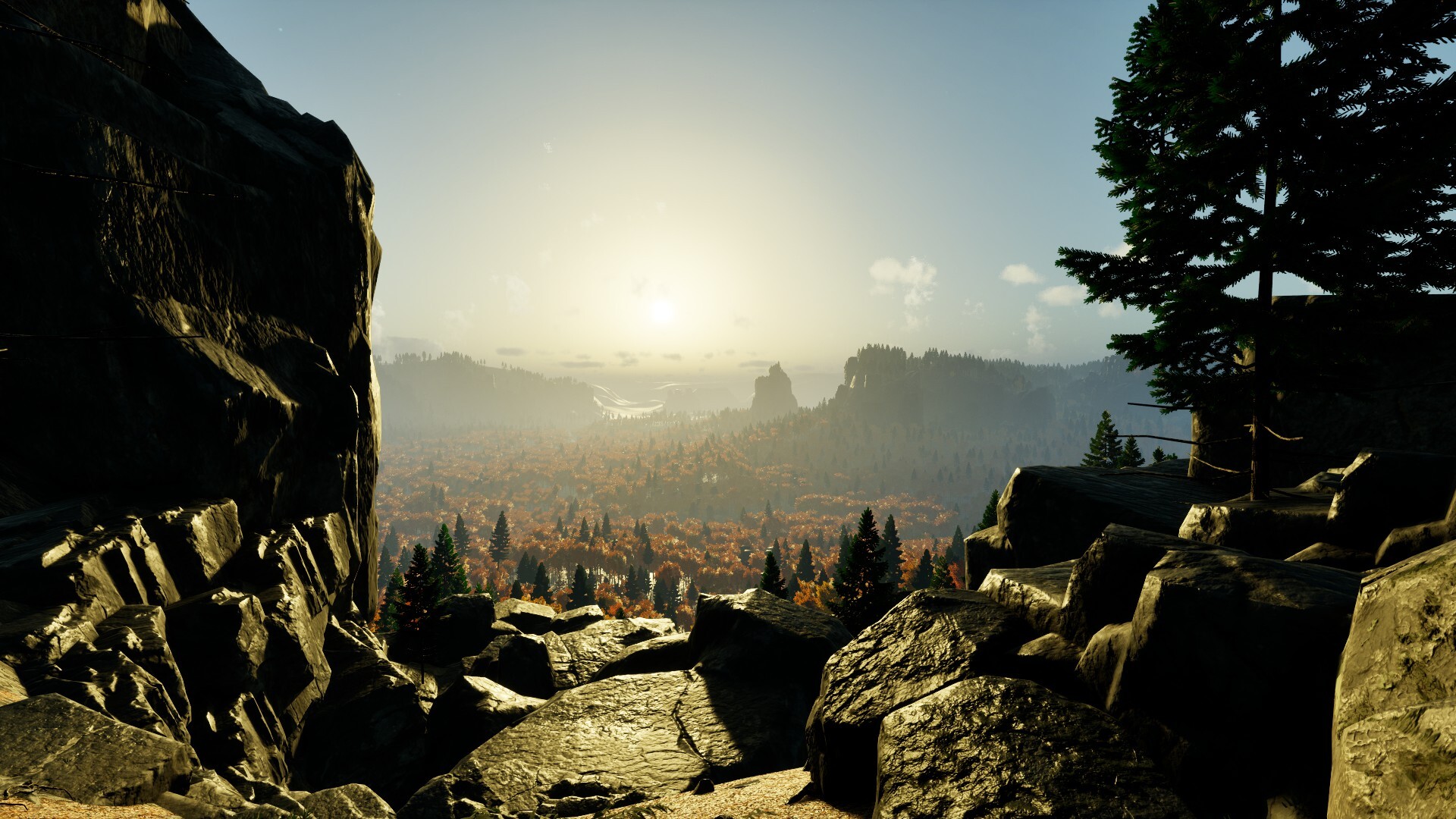 Prologue: Go Wayback! forest screenshots 