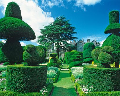 The best British gardens