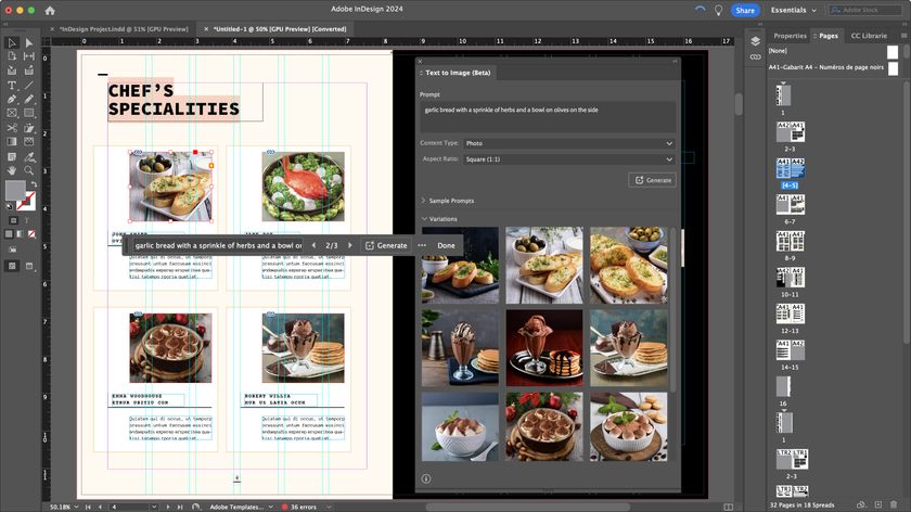 Adobe InDesign during our review and testing