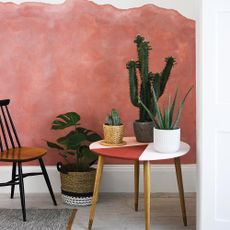 terracotta chalkwash paint with chair stool and caters plant