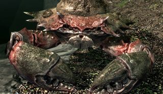 Best skyrim mods — a mudcrab, with the typical muddy-green hues of its shell gradually shifting to a orange-red.
