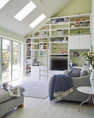 Living room bedroom combo with green wall