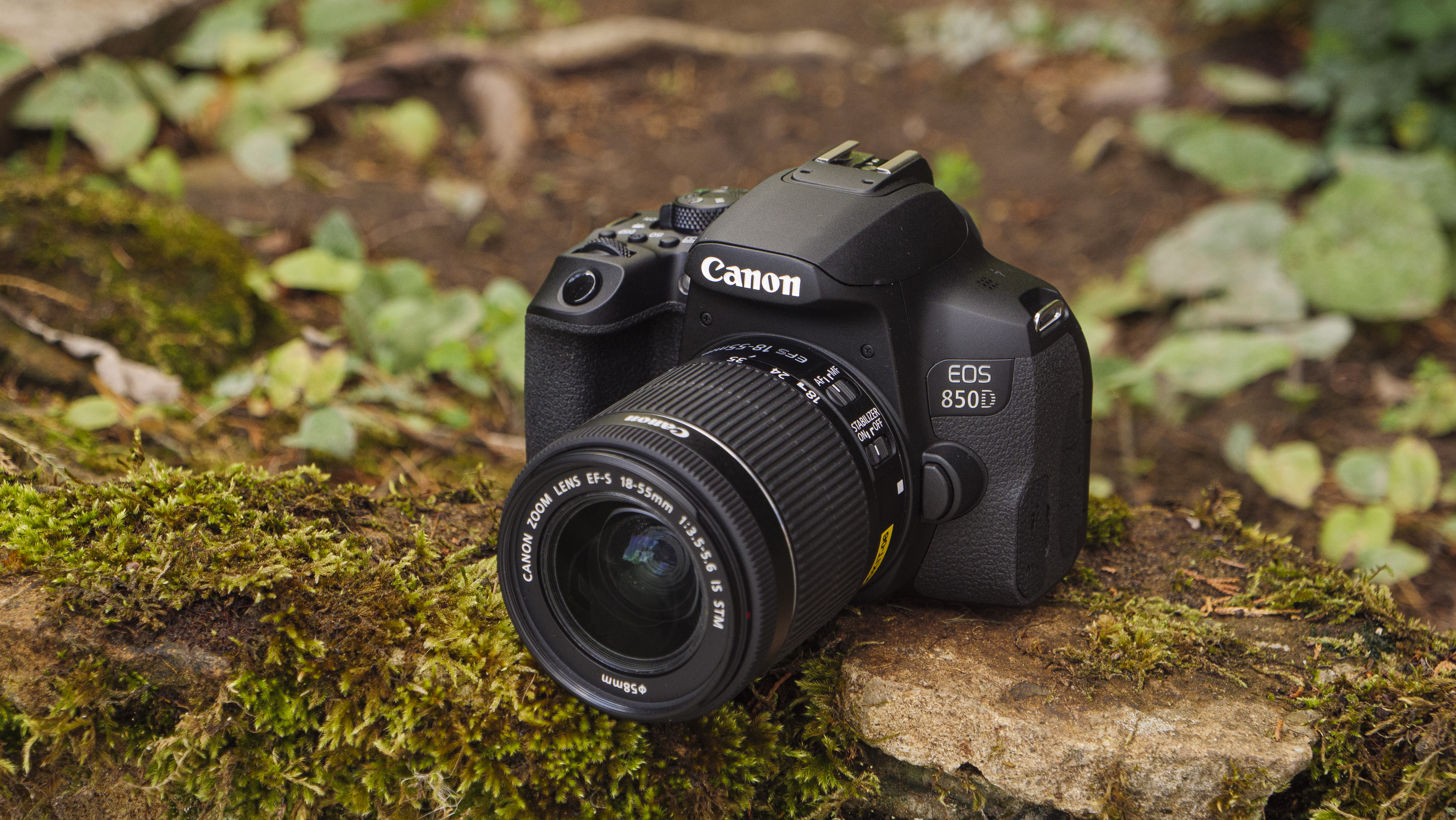 Et Canon EOS 850D står på en mosklædt sten i skovbunden