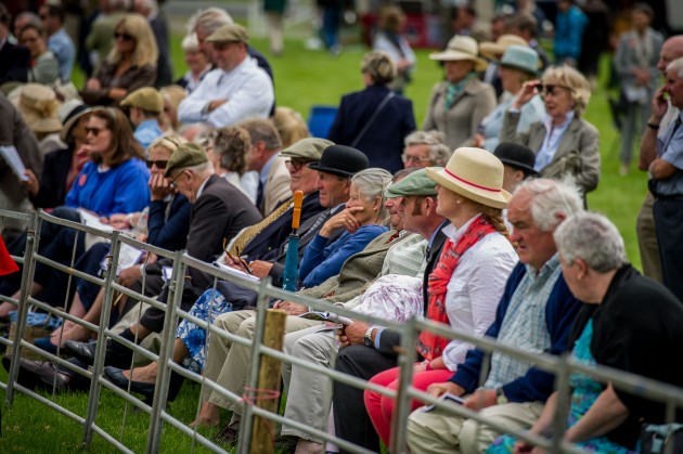 Builth Hound Show 25 06 2015